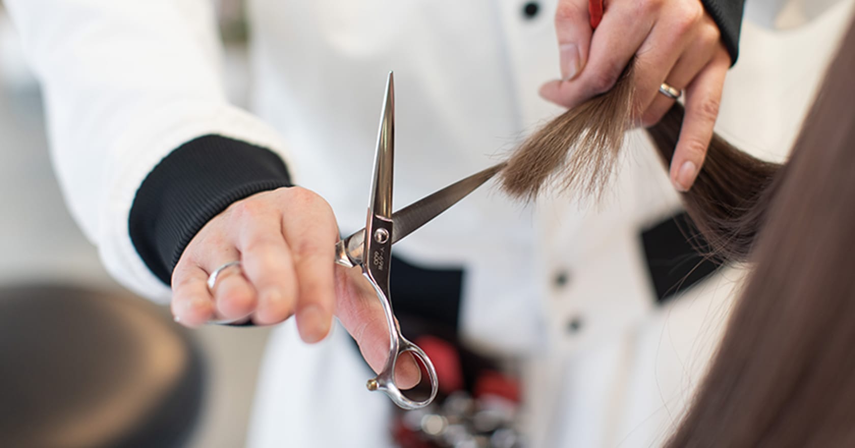 AInoaについて ABOUT US